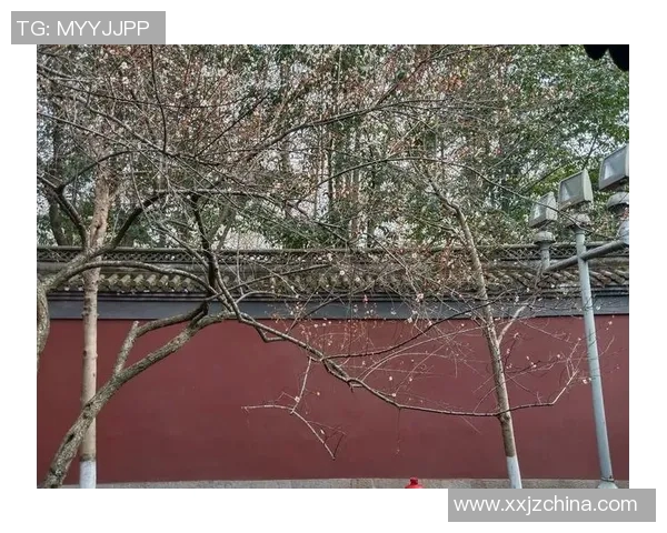 钱王点评:深度解析当下经济形势与投资策略的必备指南 钱王点评:深度解析当下经济形势与投资策略的必备指南